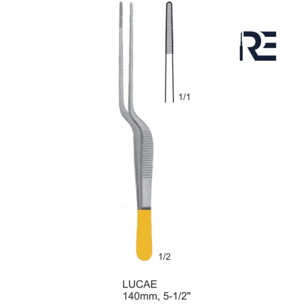 RE 23103