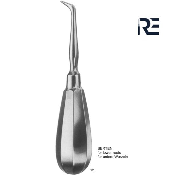RE 19309